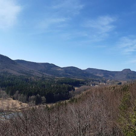 Agroturystyka Tam Gdzie Sosny Ścinawka Dolna Buitenkant foto