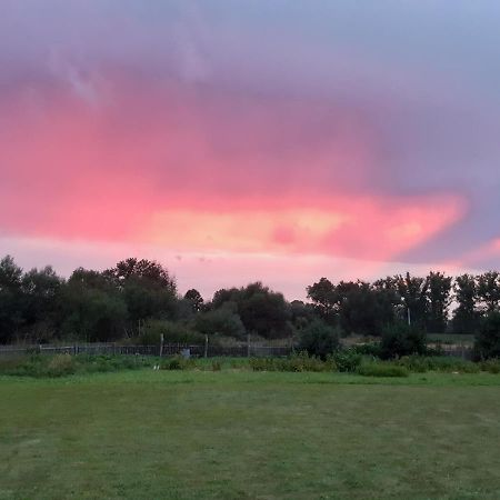 Agroturystyka Tam Gdzie Sosny Ścinawka Dolna Buitenkant foto