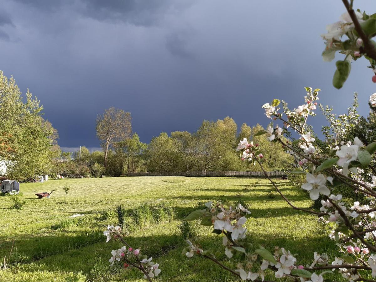 Agroturystyka Tam Gdzie Sosny Ścinawka Dolna Buitenkant foto