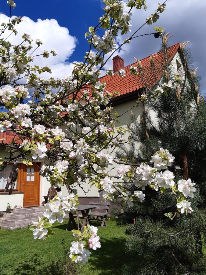 Agroturystyka Tam Gdzie Sosny Ścinawka Dolna Buitenkant foto