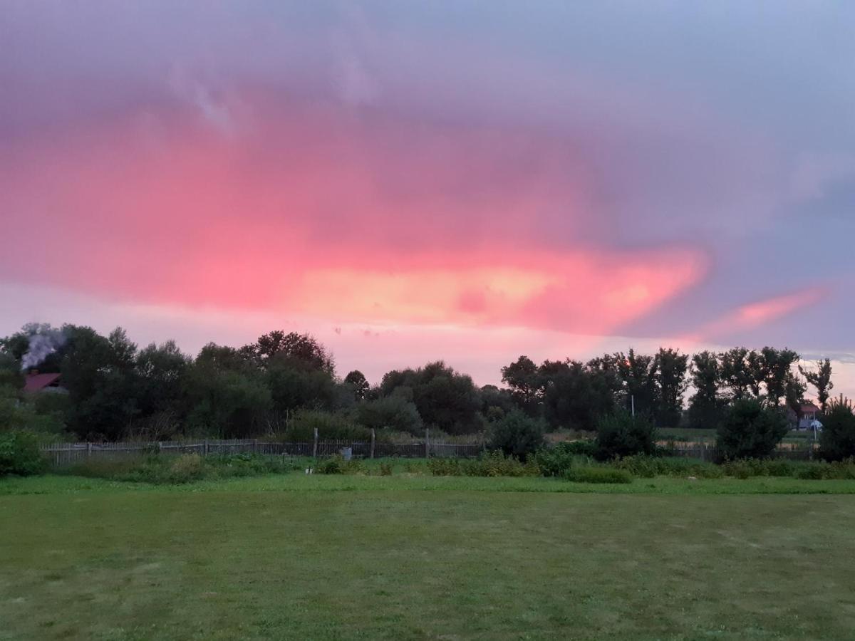 Agroturystyka Tam Gdzie Sosny Ścinawka Dolna Buitenkant foto